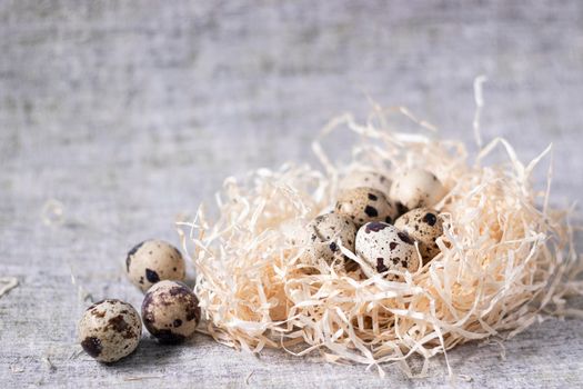 composition of quail eggs in a nest of dry grass or Wheat, oats, millet. Healthy food concept. with free space for text advertising of food or restaurant menu design.