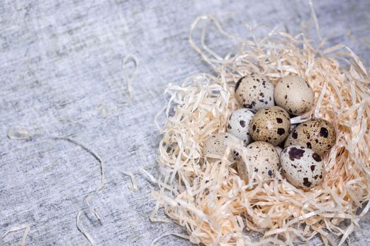 composition of quail eggs in a nest of dry grass or Wheat, oats, millet. Healthy food concept. with free space for text advertising of food or restaurant menu design.