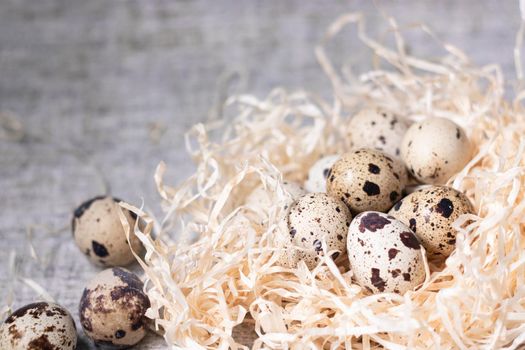 composition of quail eggs in a nest of dry grass or Wheat, oats, millet. Healthy food concept. with free space for text advertising of food or restaurant menu design.