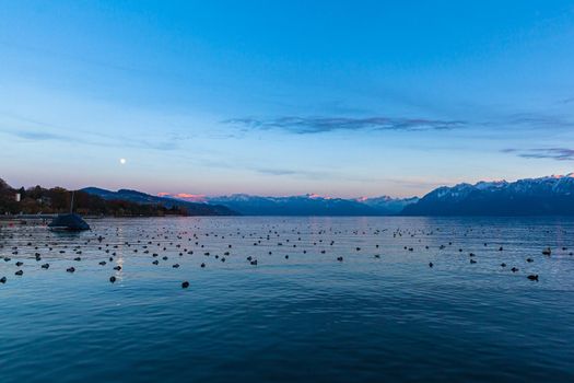 Stunning panorama view of Lake Leman (Lake Geneva) at dusk in autumn in Lausanne, with beautiful snow covered French Alps mountain range and blue sky moon in background, Canton of Vaud, Switzerland