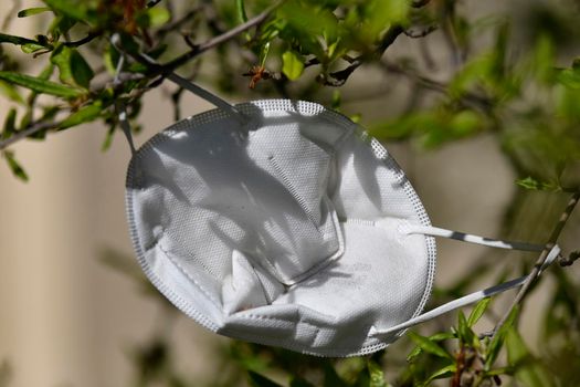 medical face mask, thrown away in a tree