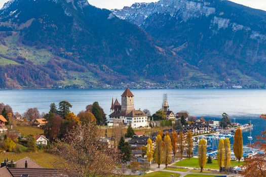 Aerial view of Spiez town in autumn with the castle on the side of the lake Thun and the Alps in background, on Bernese Oberland, Canton of Bern, Switzerland.