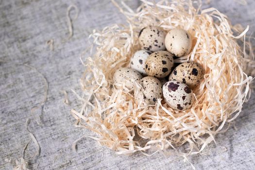 composition of quail eggs in a nest of dry grass or Wheat, oats, millet. Healthy food concept. with free space for text advertising of food or restaurant menu design.