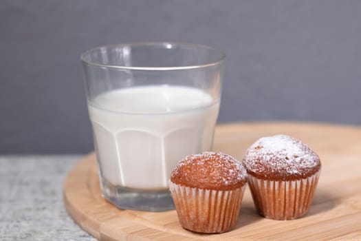 two little cupcakes or muffins in powdered sugar near a glass of milk. healthy breakfast. snack or lunch.