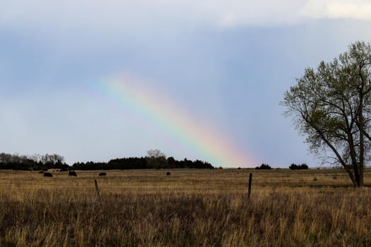 Nature Rainbow over pretty green Nebraska landscape. High quality photo