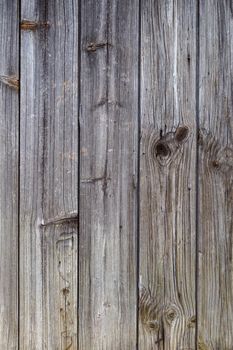 gray dry wooden planks wall suface texture and background.