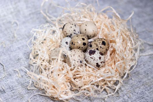 composition of quail eggs in a nest of dry grass or Wheat, oats, millet. Healthy food concept. with free space for text advertising of food or restaurant menu design.