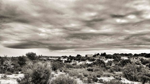 Countryside landscape with cloudy sky and native bushes and conifers in Alicante, Spain
