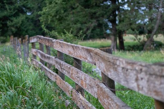 Close up of old wooden fence in pasture . High quality photo