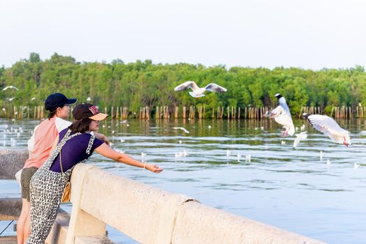 Woman and girl Asian family tourist, mother and daughter are happy fun feeding the seagulls flying above the sea, Travel Asia at Bangpu Recreation Center, Famous attraction of Samut Prakan, Thailand