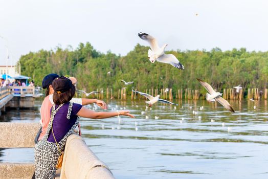 Woman and girl Asian family tourist, mother and daughter are happy fun feeding the seagulls flying above the sea, Travel Asia at Bangpu Recreation Center, Famous attraction of Samut Prakan, Thailand