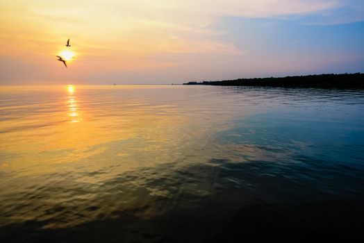 Beautiful nature landscape for background bright sun golden sunlight reflect the water, two birds a pair of seagulls flying on yellow, orange sky at sunset over the sea and horizon at Bangpu, Thailand