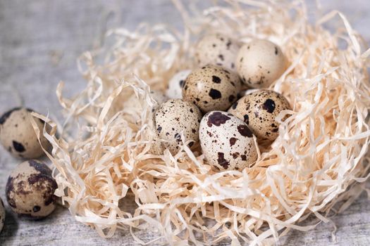 composition of quail eggs in a nest of dry grass or Wheat, oats, millet. Healthy food concept. with free space for text advertising of food or restaurant menu design.