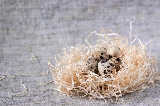 composition of quail eggs in a nest of dry grass or Wheat, oats, millet. Healthy food concept. with free space for text advertising of food or restaurant menu design.