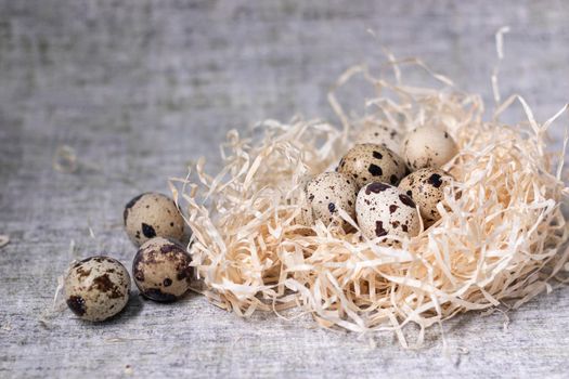 composition of quail eggs in a nest of dry grass or Wheat, oats, millet. Healthy food concept. with free space for text advertising of food or restaurant menu design.