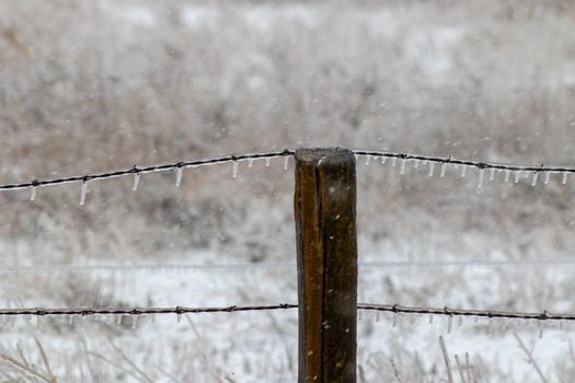 Ice covered barb wire fence and wooden post . High quality photo