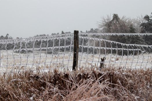 Ice covers wire fence with ice icicles . High quality photo