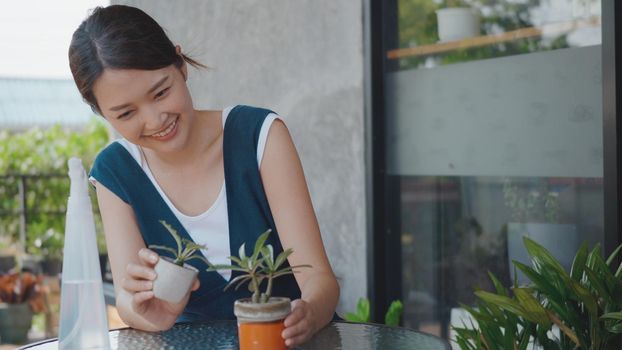 Asian beautiful young woman holding pot small tree flower on hands and smile laughing taking care looking tree gloves at garden outside home, love of houseplants, small business concept