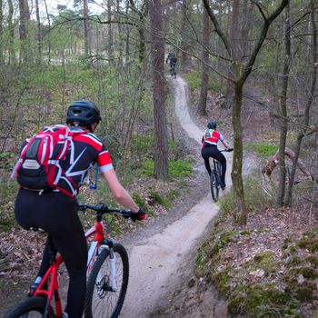 men on mountain bike in spring forest near utrecht on sunny morning in the netherlands