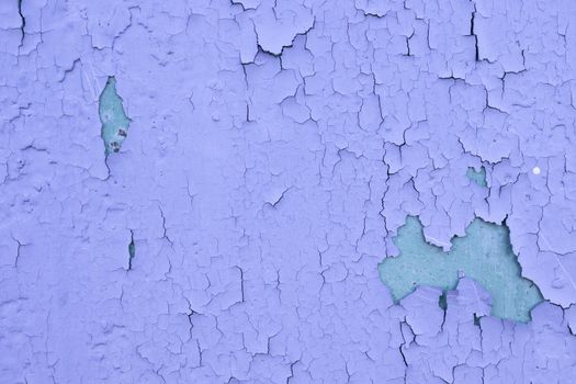 Cracked blue oil paint on aged metal surface. Cool grunge crackle texture. Fractured pattern. Peeling paint on an Old wall. close up