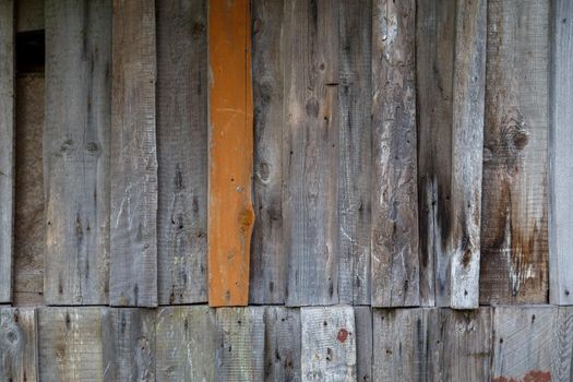 vertical gray messy wooden planks with one brown - wall suface texture and background.