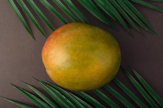 Top view of mango on black table with palm leaves. Concept of summer fruits, vegan food and healthy eating
