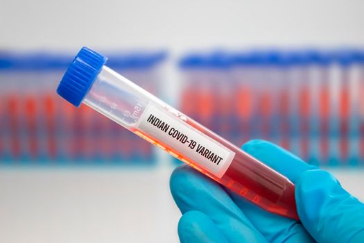 A medical Worker holding a centrifuge tubes with graduated marks with a Covid-19 Indian variant virus sample. Concept: Lineage B.1.617, Double mutation