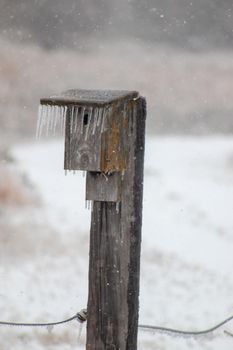 Ice icicles Covered bird house on fence post in November . High quality photo