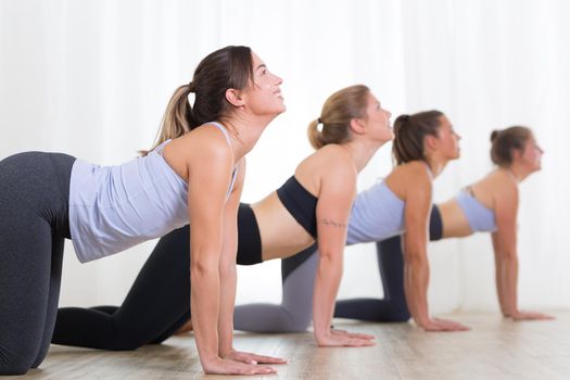 Group of young sporty women in yoga studio, practicing yoga. Healthy active lifestyle, working out indoors in gym.