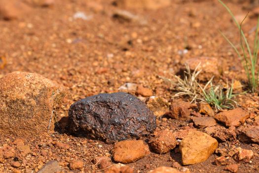 Lump of natural solid magnetite iron ore in dirt patch, South Africa