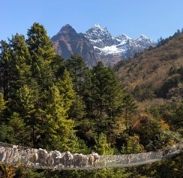 Yaks caravan crossing suspension bridge in the Himalayas. Everest base camp trek in Nepal 