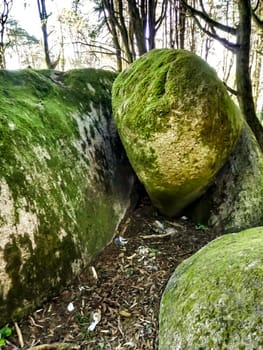 Beautiful leafy forest with colossal rock formations and majestic trees with soft sun rays in Sintra Mountains in Lisbon, Portugal
