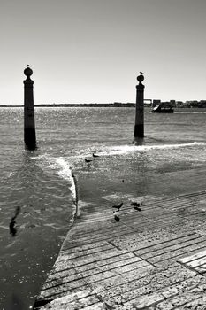 Pillars of Do Comercio square on the banks of the Tagus River in Lisbon in a sunny day of spring. Segulls on the top.