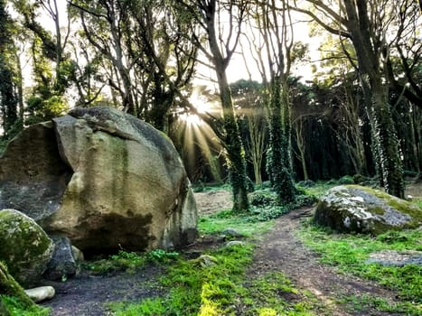 Beautiful leafy forest with colossal rock formations and majestic trees with soft sun rays in Sintra Mountains in Lisbon, Portugal