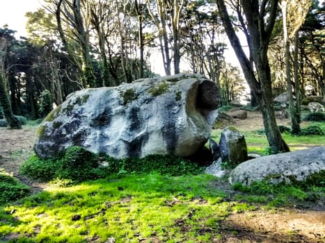 Beautiful leafy forest with colossal rock formations and majestic trees with soft sun rays in Sintra Mountains in Lisbon, Portugal