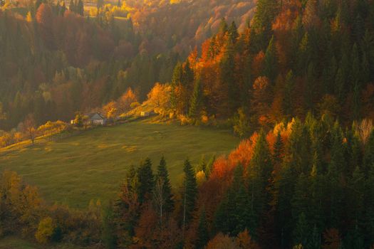 Autumn foliage trees in the mountains. Meadow with haystack and forest in the Carpathian mountains