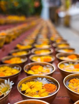 Buddhist flower offerings or gifts in bowls and rows. Buddhism religion offering in a temple