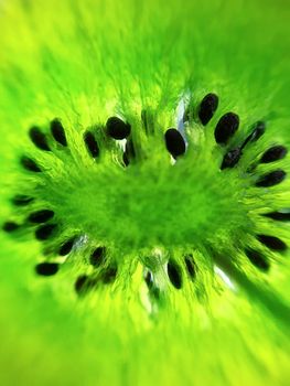 Bright green candied kiwi fruit with seeds close-up. Dried fruits. Candied kiwi.