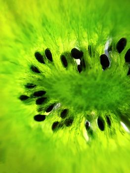 Bright green candied kiwi fruit with seeds close-up. Dried fruits. Candied kiwi.