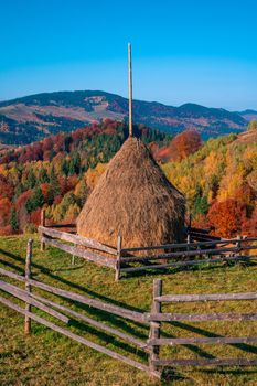 Autumn forest trees in the mountains panorama trees in the mountains Meadow with haystack