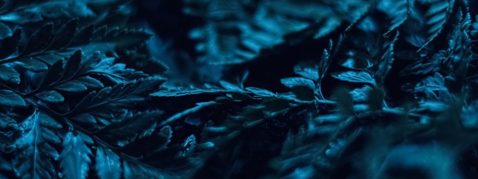 Blue plant leaves at night as surreal botanical background, minimal design backdrop