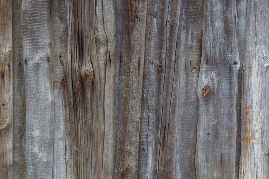 gray dry wooden planks wall suface texture and background.