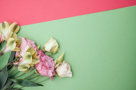 Spring flowers. Holiday card. White flowers of cherry on a blue and yellow background. Place for text, flat lay, top view, copy space