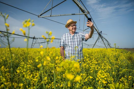 Proud senior farmer is standing in his rapeseed field and taking pictures of his plantation.