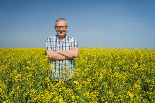 Proud senior farmer is standing in his rapeseed field. He is cheerful and enjoying the sun.