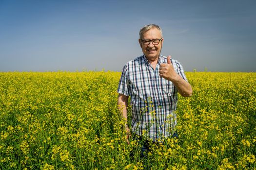 Proud senior farmer is standing in his rapeseed field. He is cheerful and enjoying the sun.