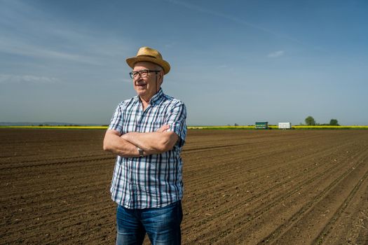 Proud senior farmer is standing in his sown corn field. He is cheerful and enjoying the successful sowing.