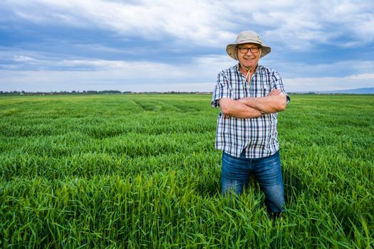 Proud senior farmer is standing in his barley field and enjoying sunset.