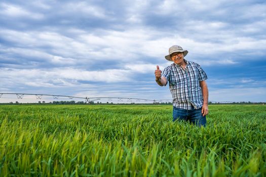Proud senior farmer is standing in his barley field.
