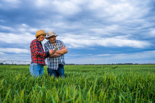 Two generations farmers are standing in their barley field and examining crops.